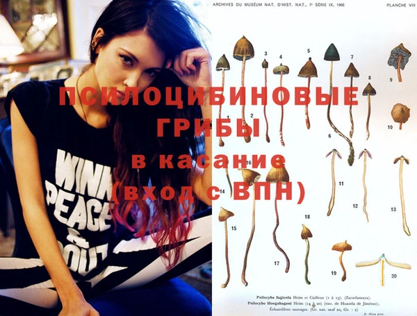 Альфа ПВП Ладушкин