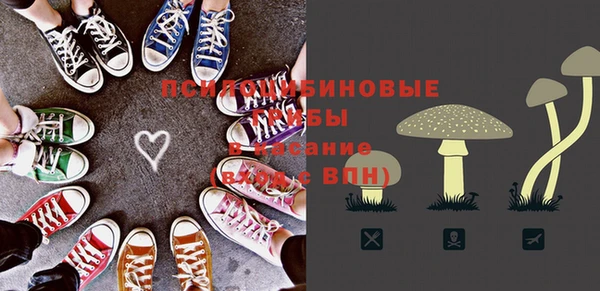 гидра Лабытнанги