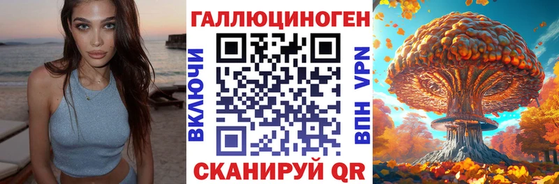 Псилоцибиновые грибы GOLDEN TEACHER  как найти закладки  Приморск 